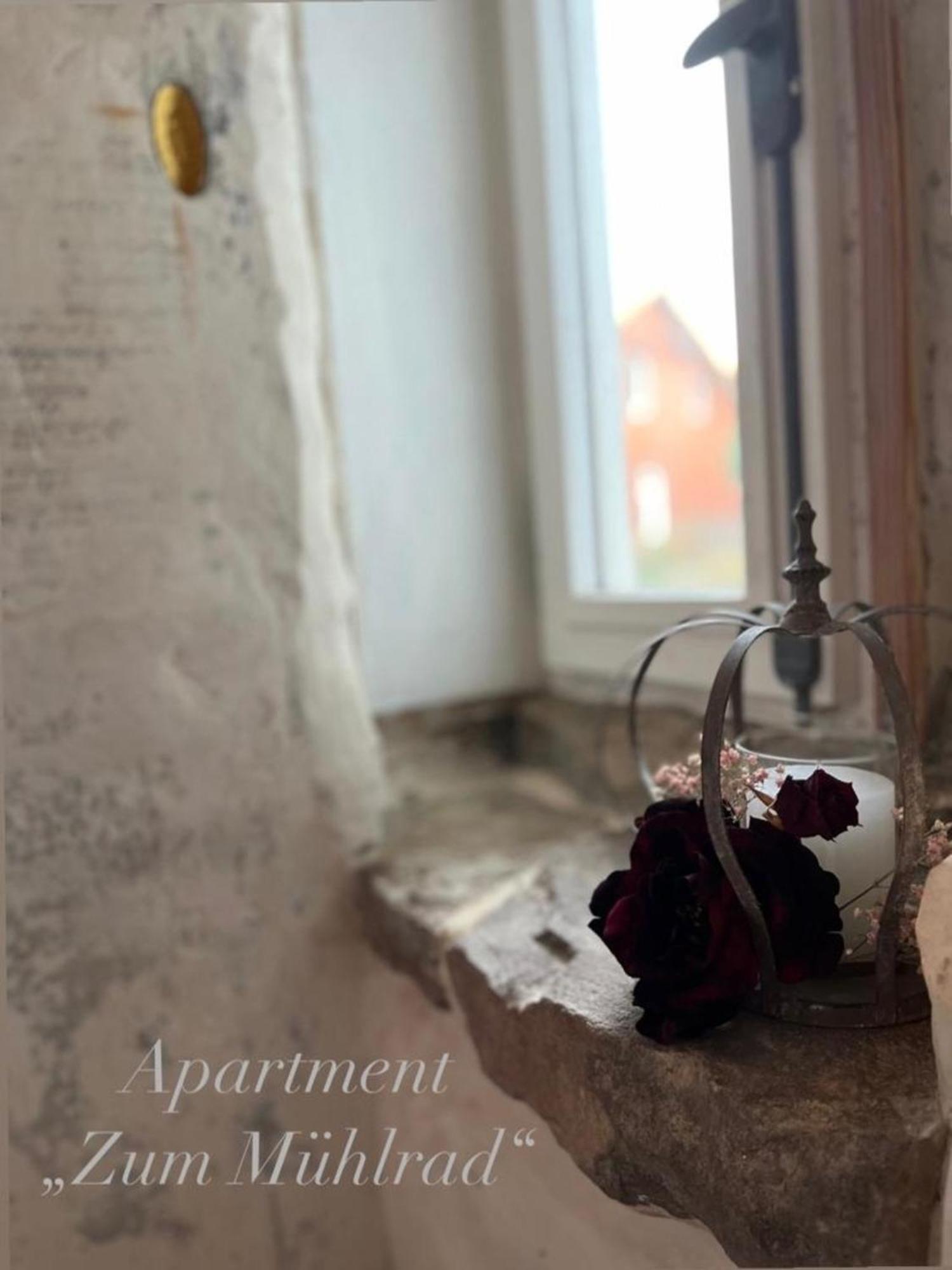 Villa Malzmuehle "Apartment Zum Muehlrad" Wernigerode Εξωτερικό φωτογραφία